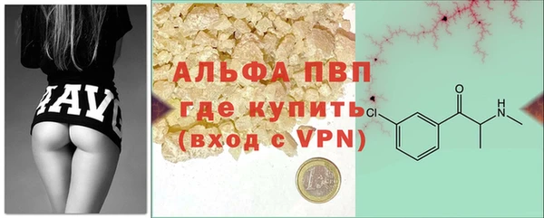прущие грибы Верхний Тагил