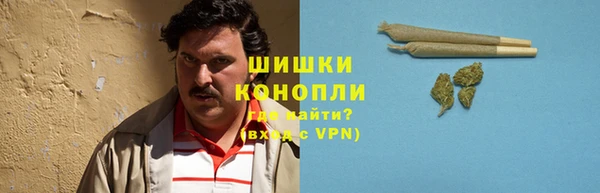 молекула духа Магадан