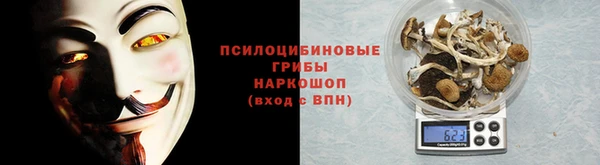 прущая мука Медногорск