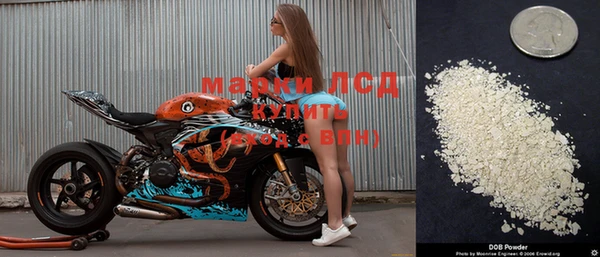 молекула духа Магадан