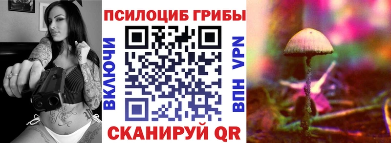 Псилоцибиновые грибы Magic Shrooms  Новосиль 